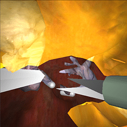 Virtual Environments for Surgical Simulation featured image